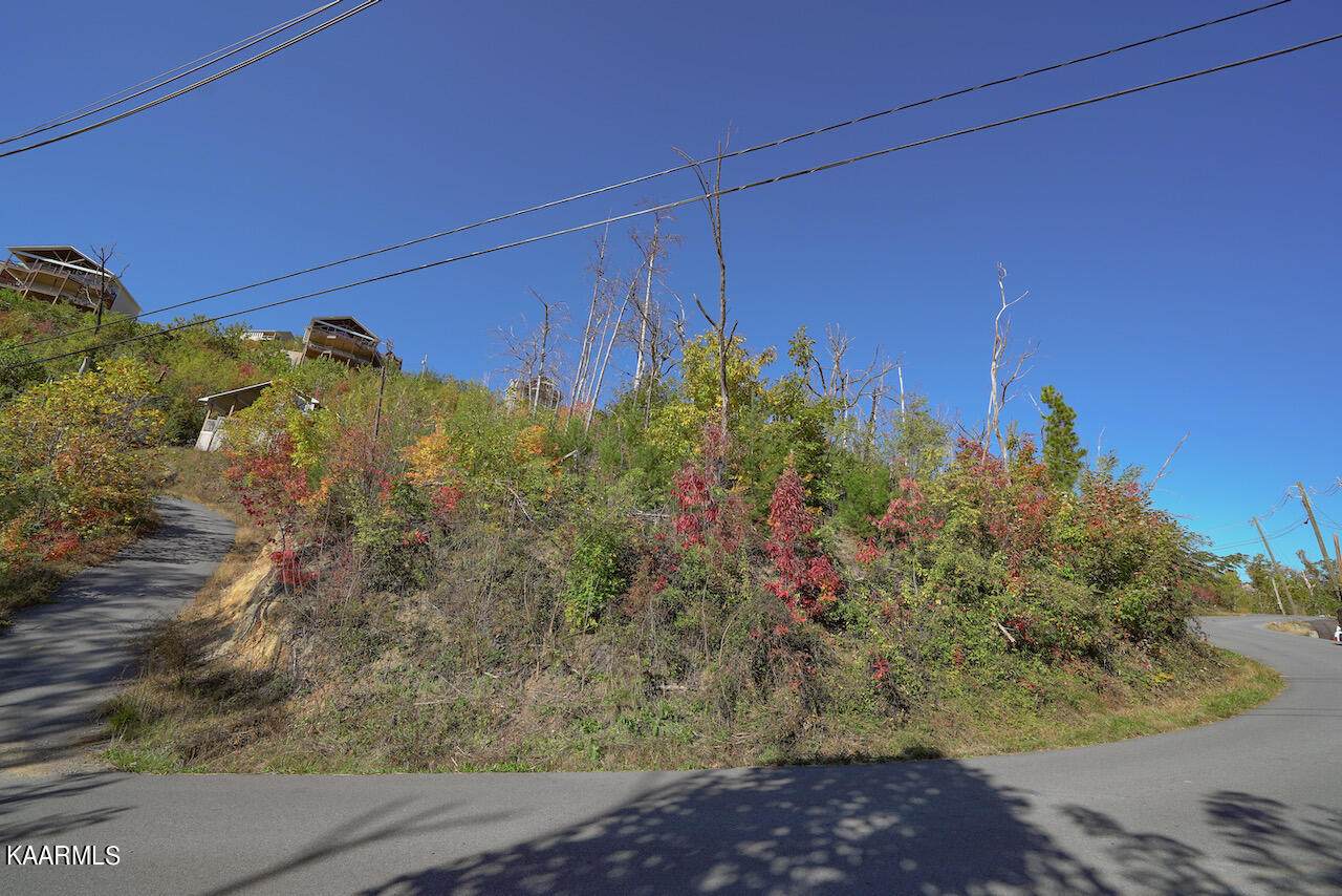 Lot 165 Cliff Branch Rd. - Photo 1