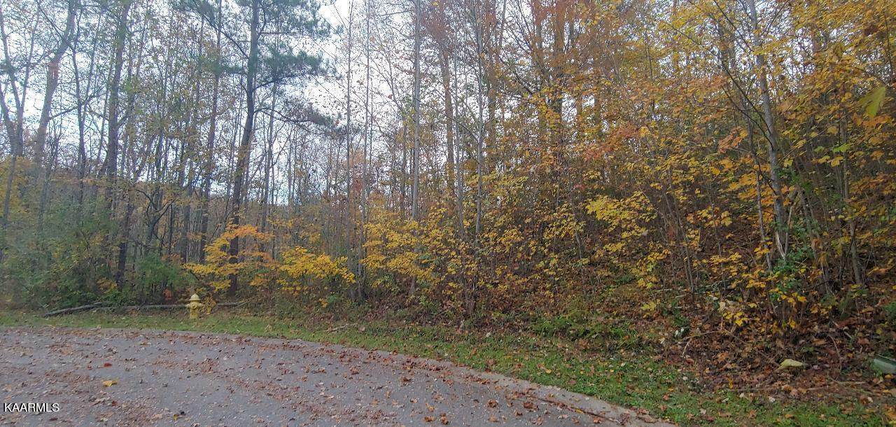 107 Old Hickory Court - Photo 1