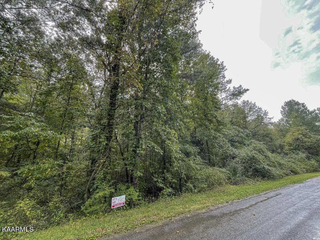 Lot 17 Maple Grove Rd - Photo 1