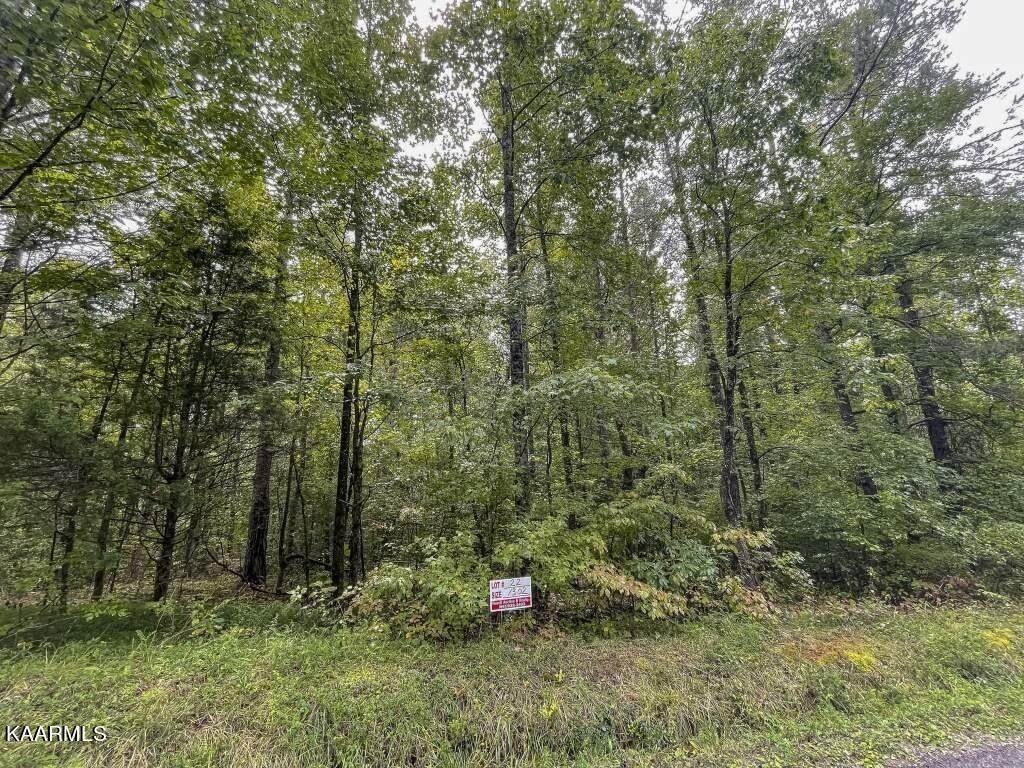 Lot 22 Maple Grove Rd - Photo 1