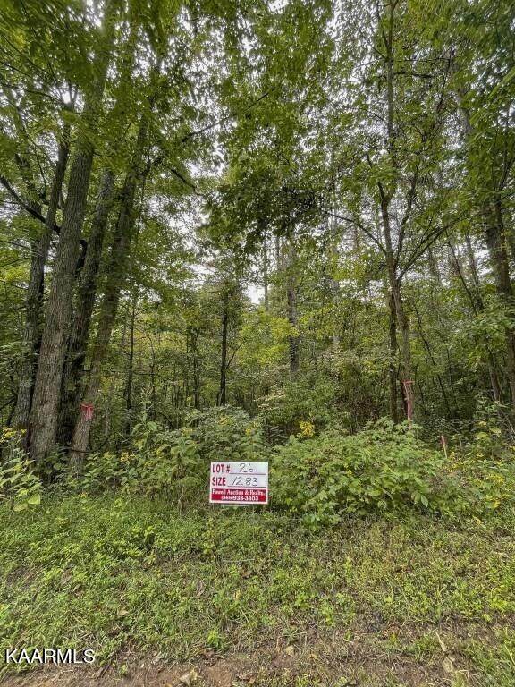 Lot 26 Maple Grove Rd - Photo 1