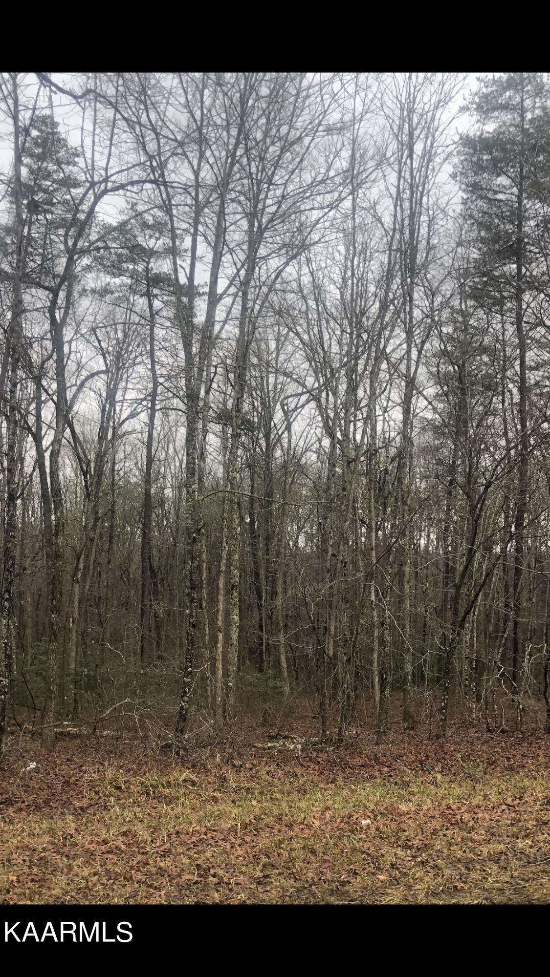 Taylor Rd - Photo 1