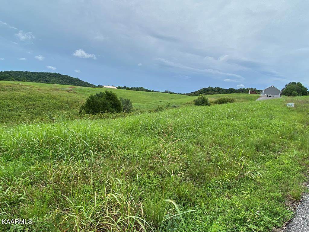 Lots 6/7 Holly Bend - Photo 1