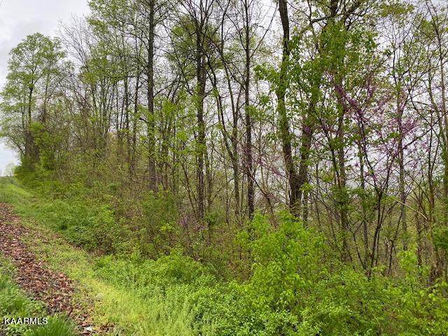 0 Free Hill Rd - Photo 1