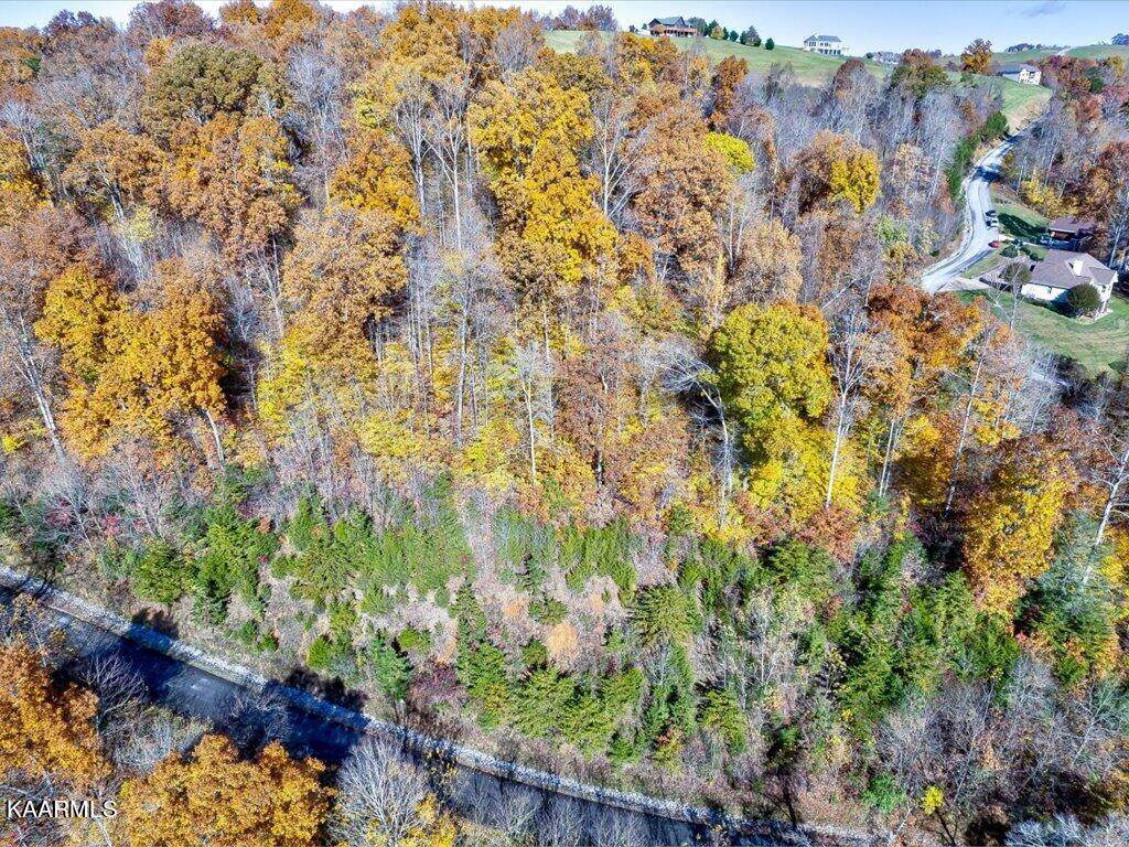 Lot 331 Platinum Drive - Photo 1