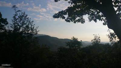 Romary Rd - Photo 1
