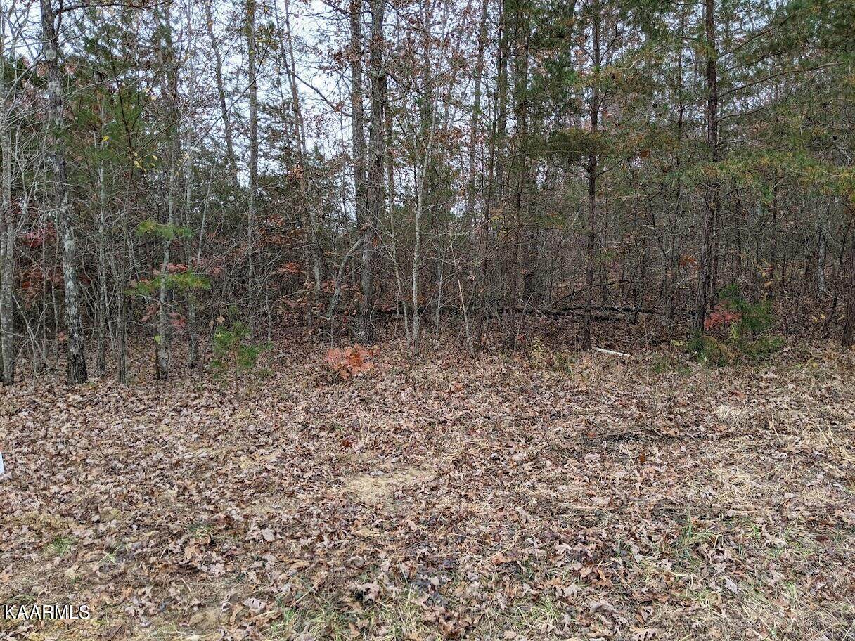 Shelby Way - Photo 1