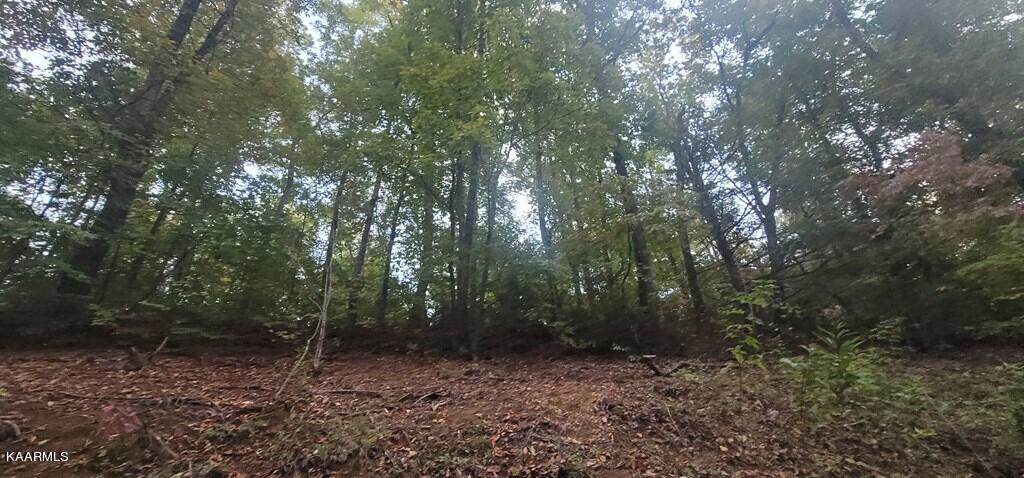 Lot 0071 Sunrise Blvd - Photo 1