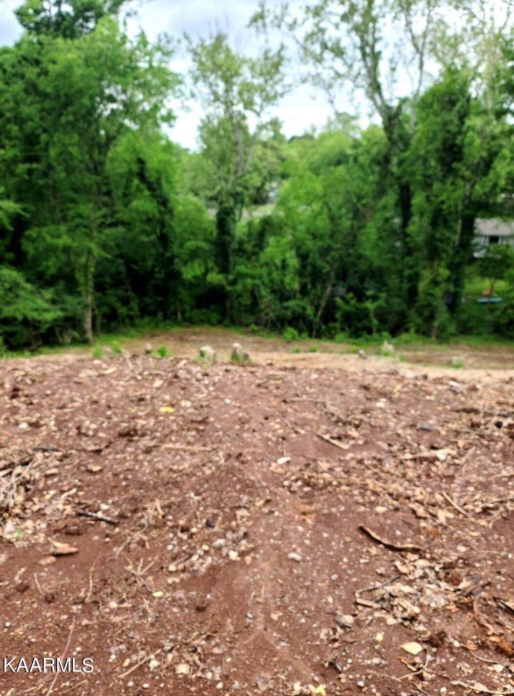 8204 Tamarack Rd - Photo 1