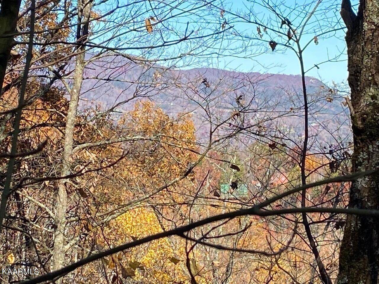 Lot 20 Sugar Maple Loop Road - Photo 1