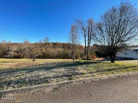 8206 Joshua Rd - Photo 1
