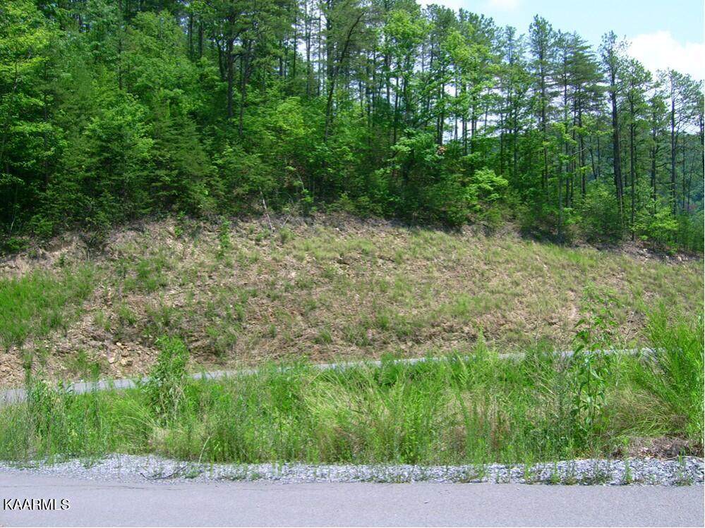 Lot 102E Deerskin Road - Photo 1