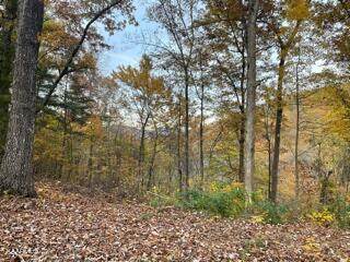Mountain Trail Lane - Photo 1