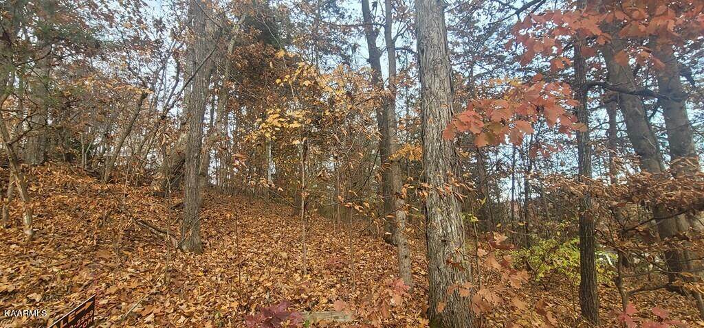Lot 0094 Timber Lake Cir - Photo 1