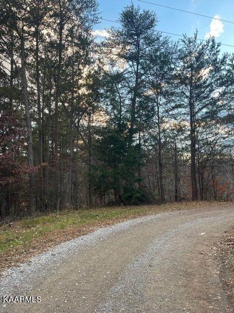 Lot 33 Birch Drive - Photo 1