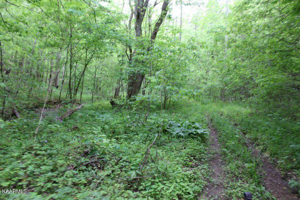 Leatherwood Rd - Photo 1