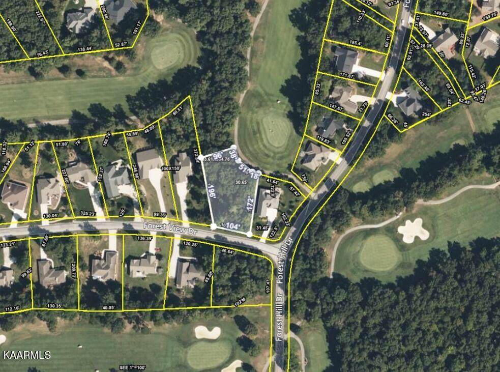 Forest View Drive - Photo 1