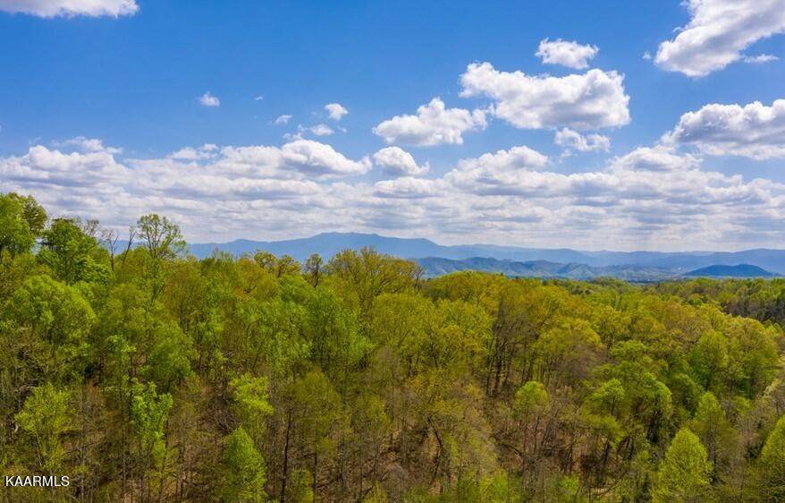 Upper Middle Creek Rd - Photo 1