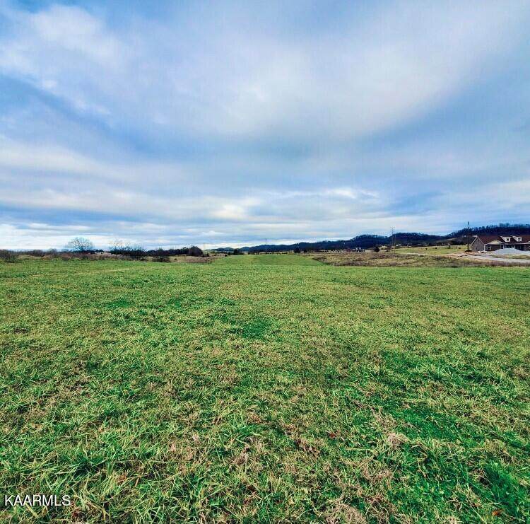 Tom Breeden Rd - Photo 1