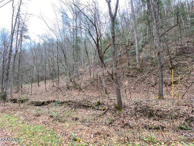 Hidden Hollow Lot 15 Way - Photo 1