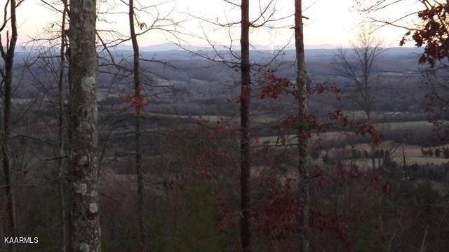 697 Highlander Rd - Photo 1
