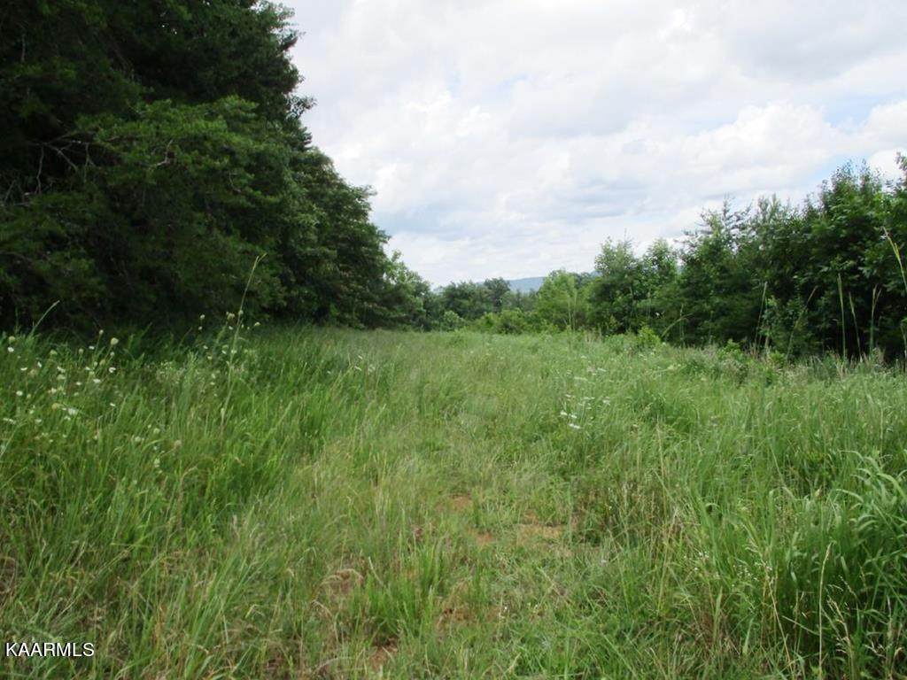 00 Ooltewah Cemetery Rd - Photo 1
