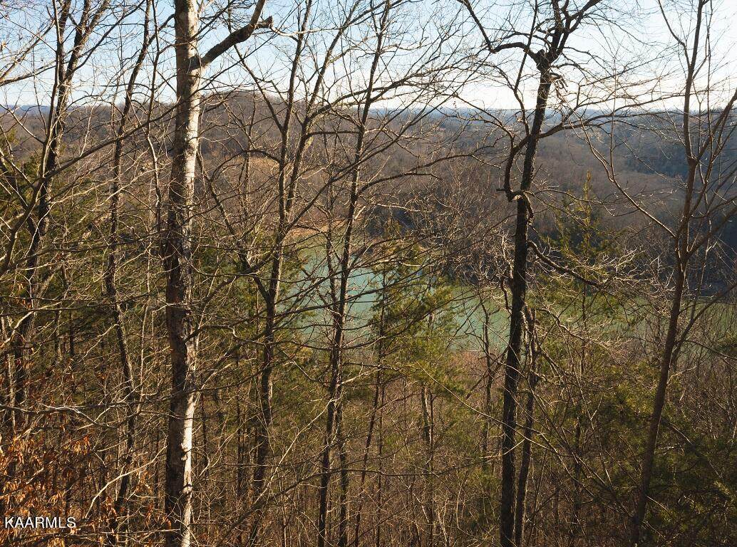 Lot 71 Ridgecrest Rd - Photo 1