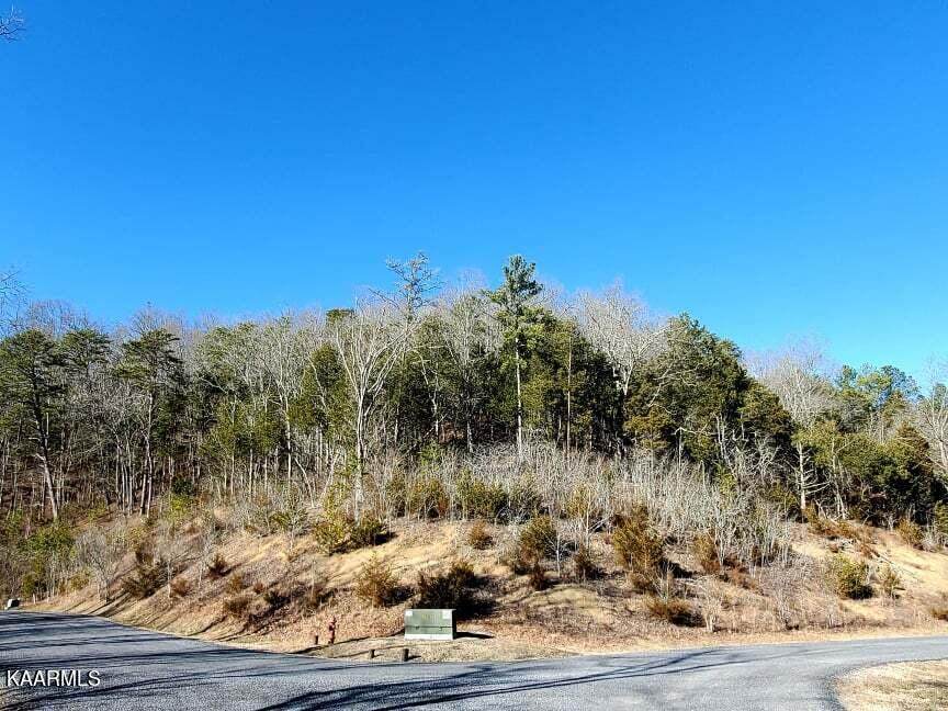 Lot 78 Stone Bridge Dr. - Photo 1