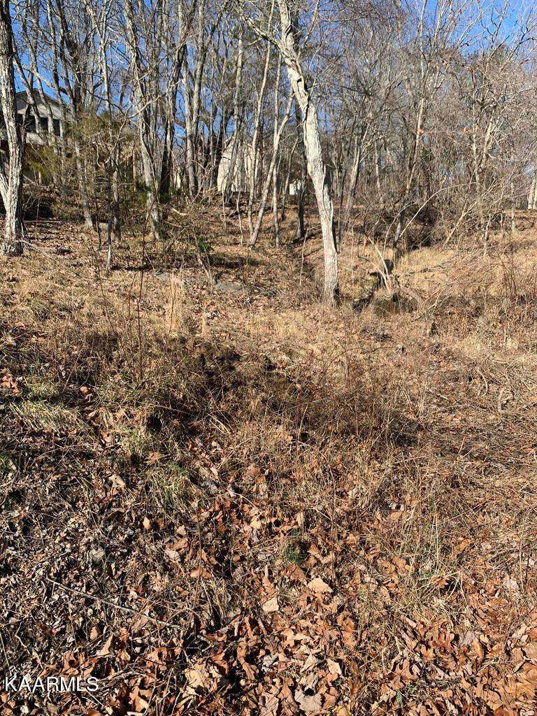 119 Greenbrier Loop - Photo 1