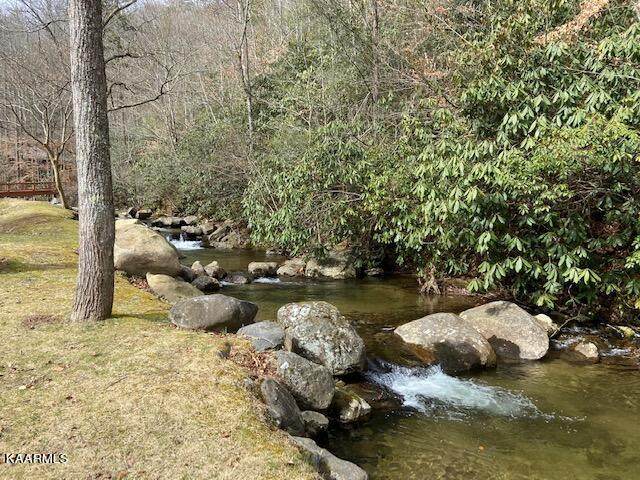 Lot A-8 Mossy Brook - Photo 1