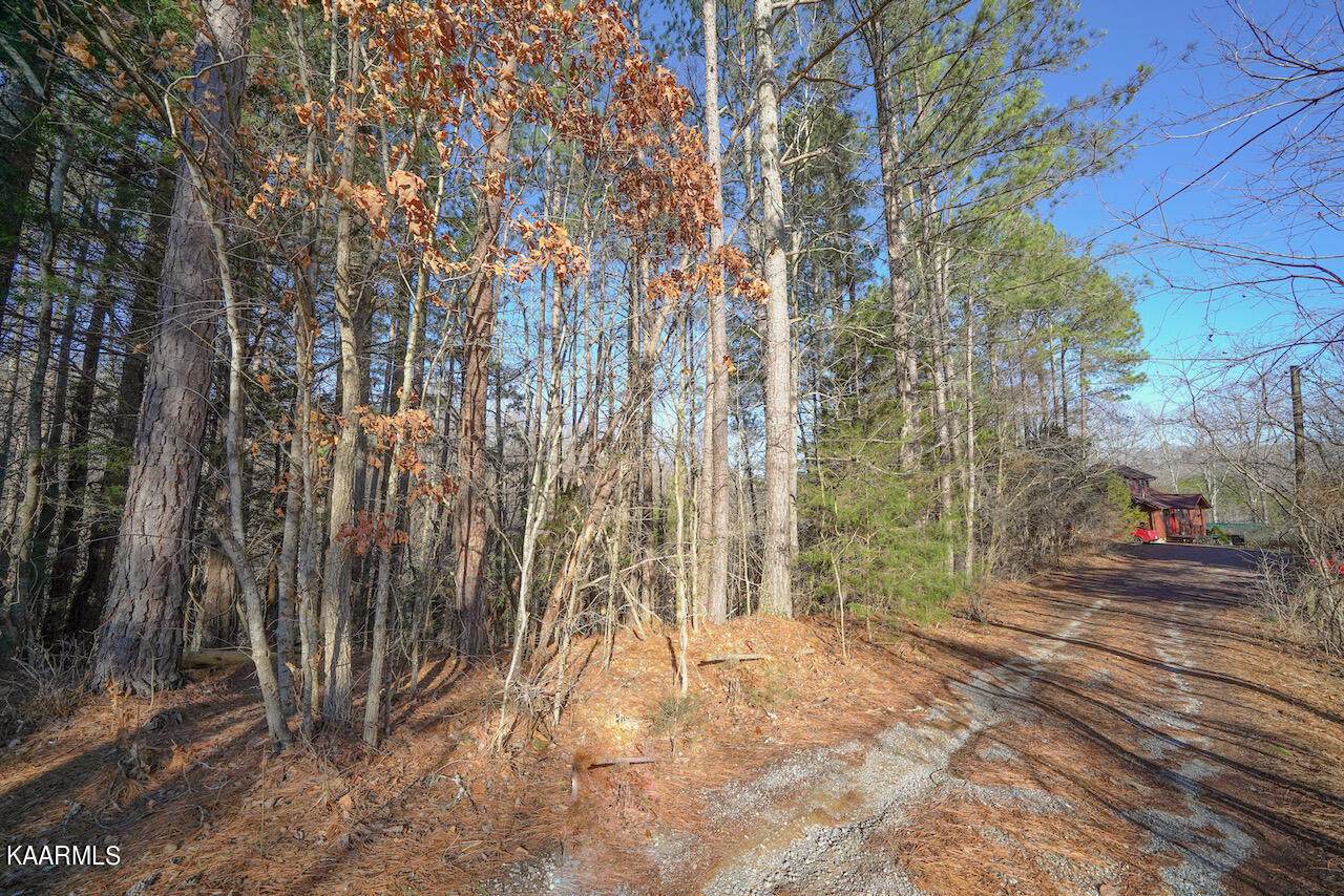 Lot 151 S New Era Rd - Photo 1