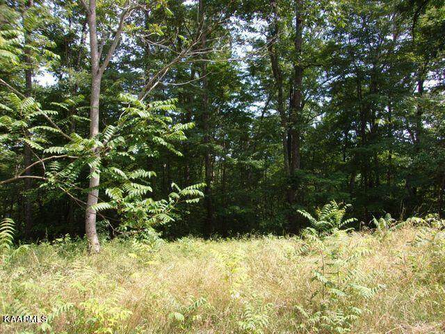 Lot 254 Marble Point Way - Photo 1