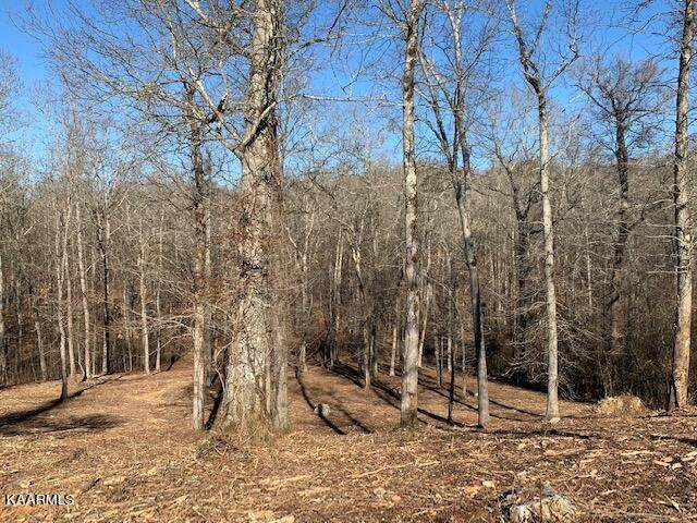 Thief Neck View Dr, Lot 376 - Photo 1