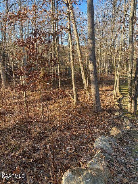 760 Westchester Drive - Photo 1