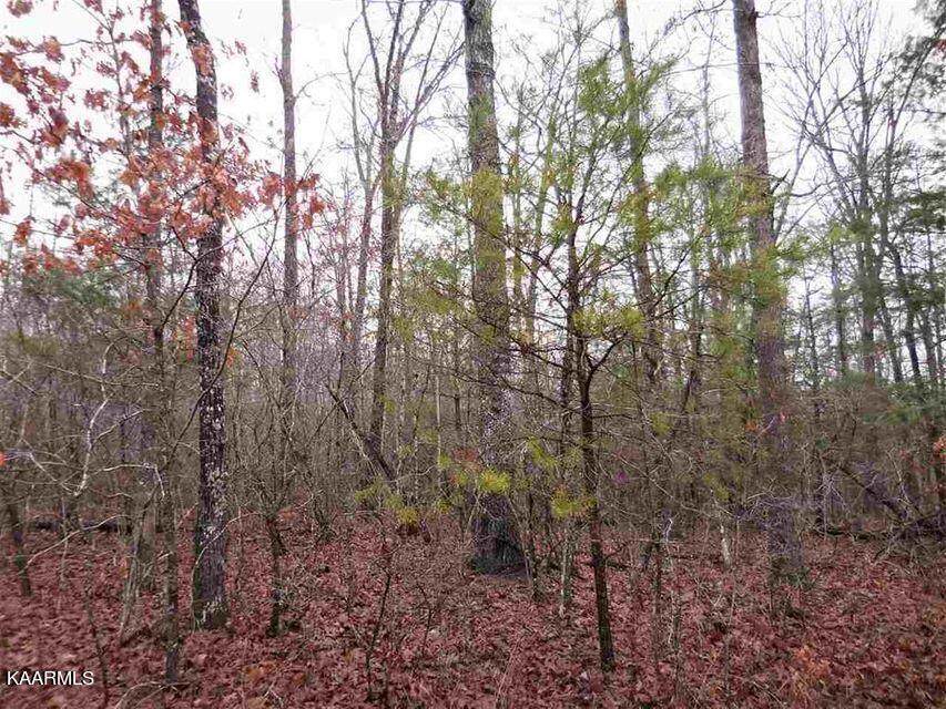 1105 Natchez Trace - Photo 1