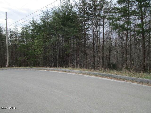  Deerridge Drive - Photo 1