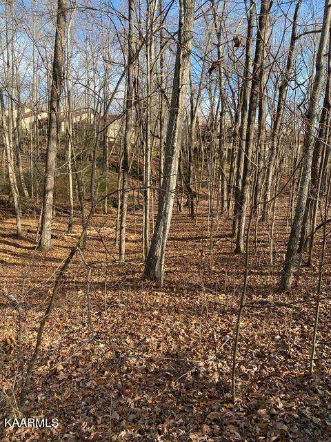 156 Sugarbush Circle - Photo 1