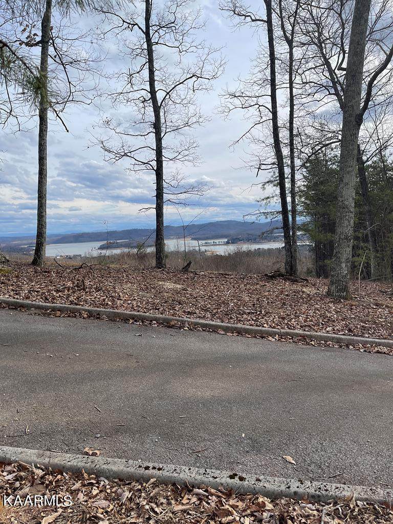 Deer Run Trail - Photo 1