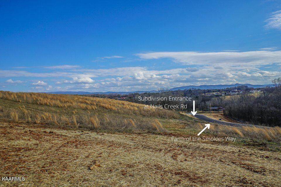 Lot 3 Mountain Vista Lane - Photo 1