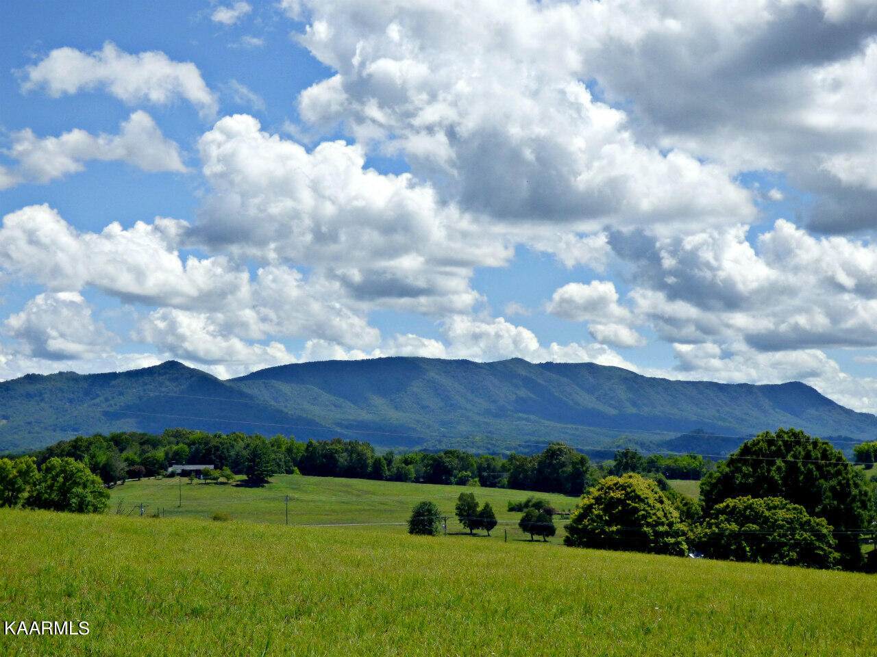 Lot 9 Swannsylvania Rd - Photo 1