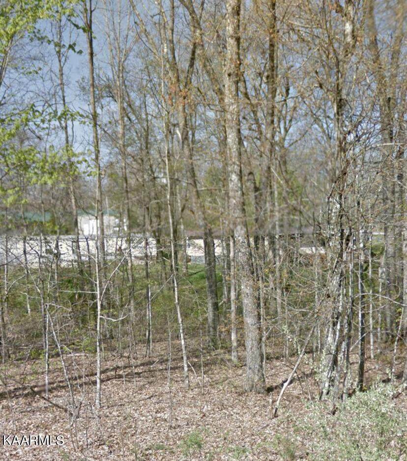 1013 Uno Lane - Photo 1