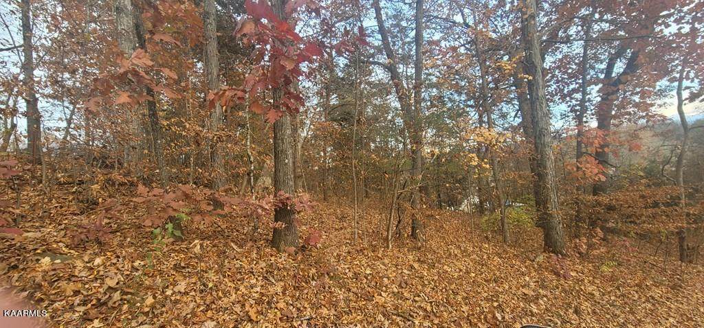 Lot 0094 Timber Lake Cir - Photo 1