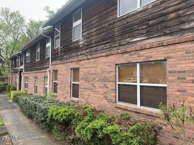 123 Gail Lane - Photo 1