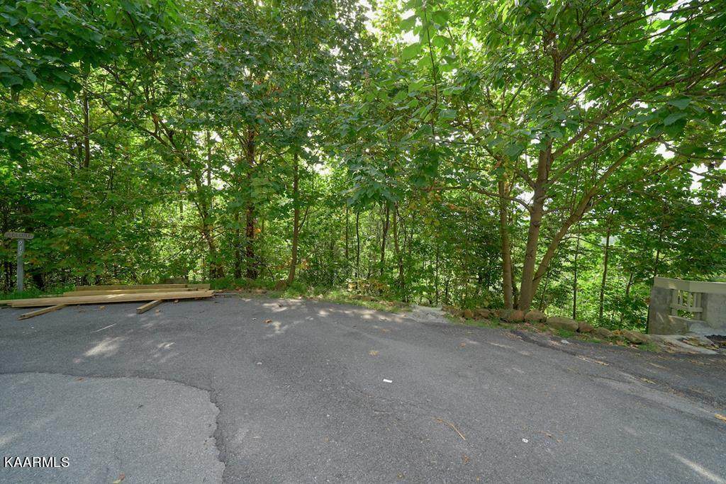 Lot 5 Old Field Ridge Way - Photo 1