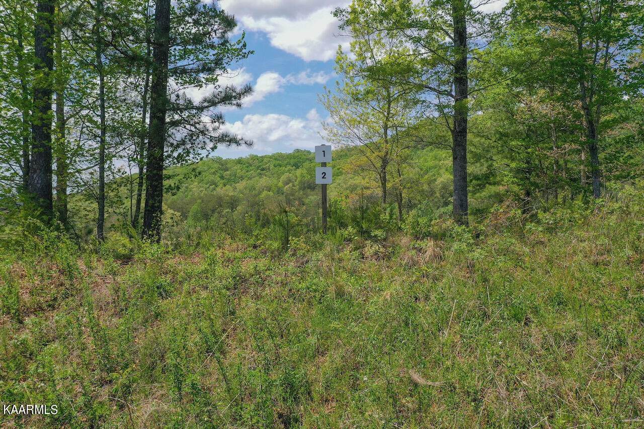 Lot 1&2 Mountain Ash Way - Photo 1