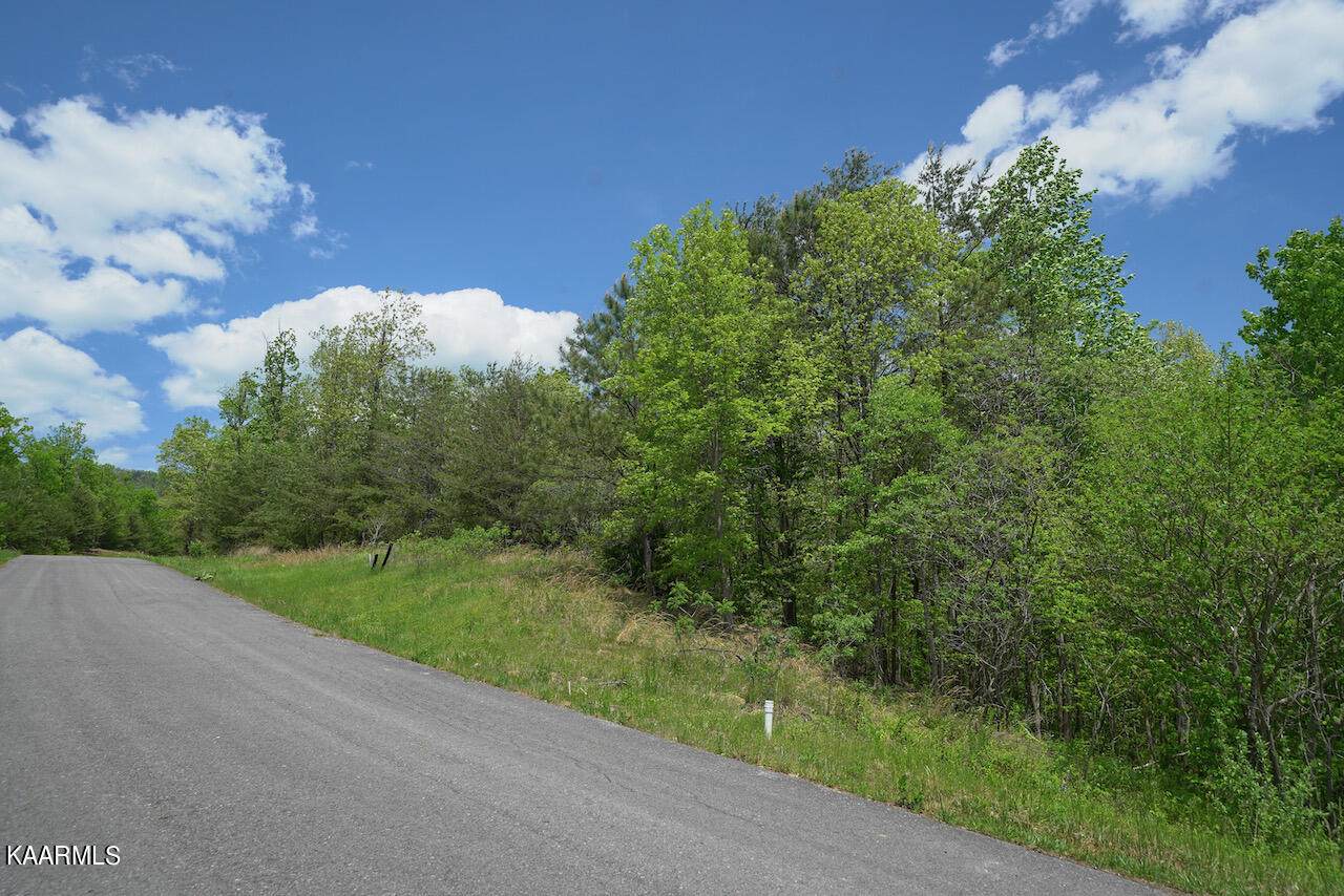 Lot 23 Mountain Ash Way - Photo 1