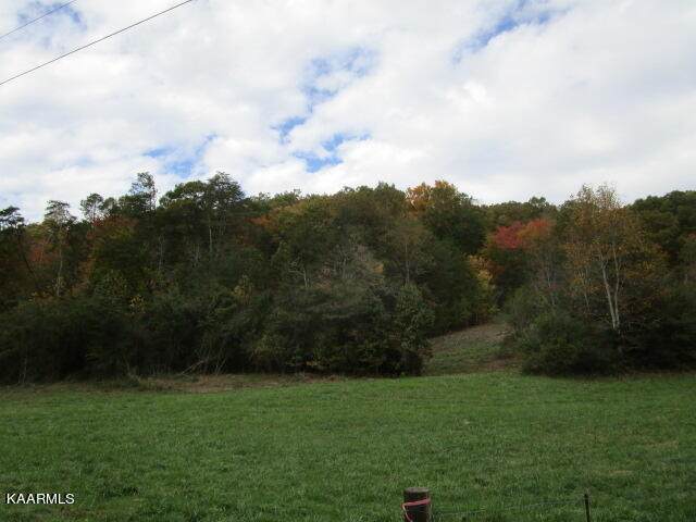 Poor Valley - Photo 1