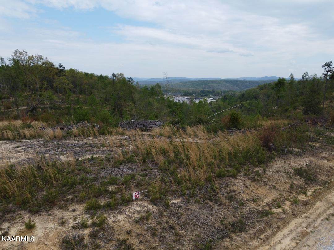 Elb Lot 16 Drive - Photo 1