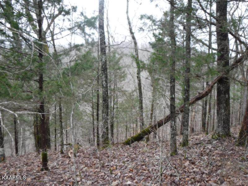 Backwood Trail Lot 5 - Photo 1