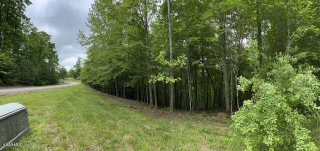 Old Hearth Lot #48 - Photo 1